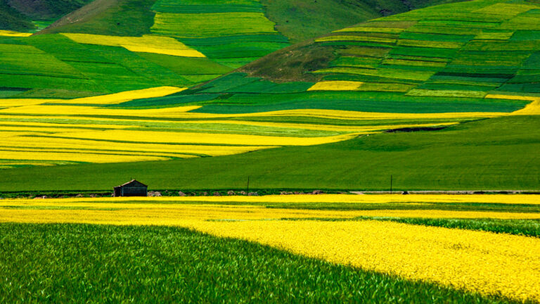 Bian Weimin - Landscape-in-Seasons-1